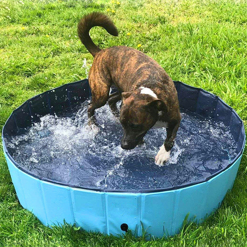 The Ultimate Foldable Dog Pool: A Refreshing Oasis for Your Pet