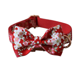 Unleash Style and Comfort with the Female Dog Pen and Leash Set