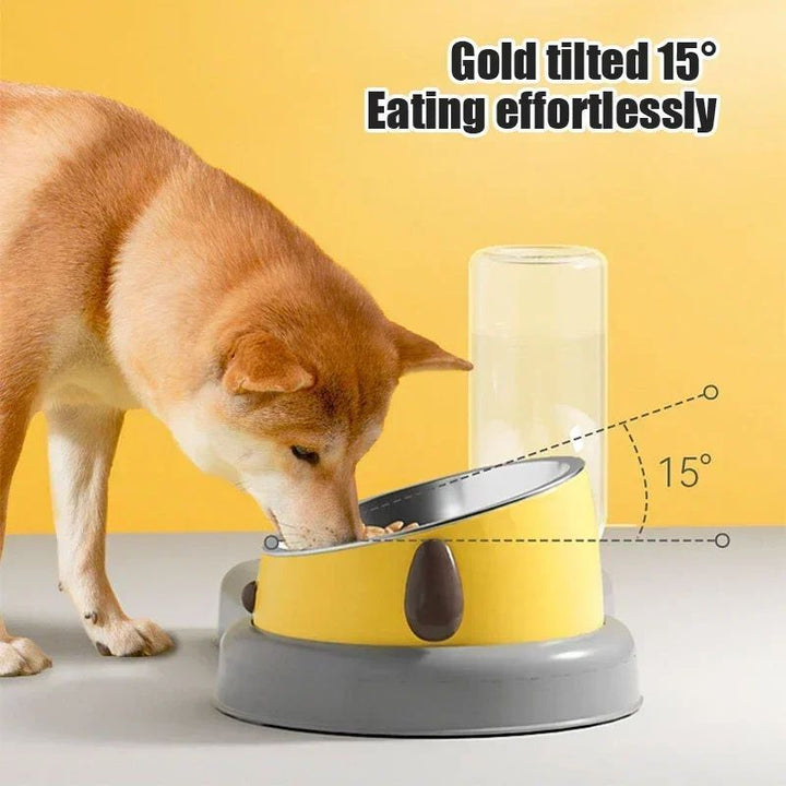 Enhance Your Pet's Feeding Experience with Our Pet Feeder Bowls and Water Bottle Set
