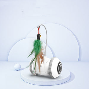 Discover the Joy of Playtime with Interchangeable Heads Pet Feather Toys