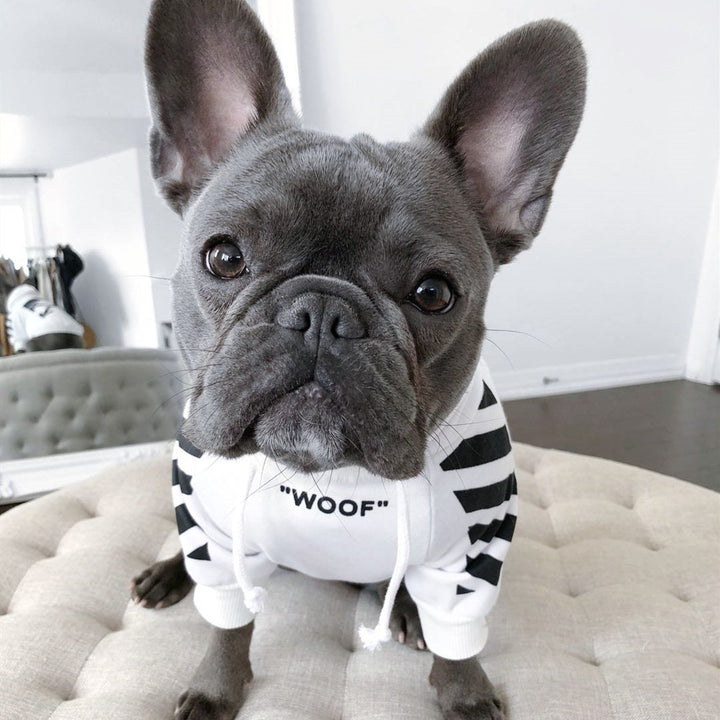 Elevate Your Pet's Wardrobe with Our Three-Stripe Dog Sweater