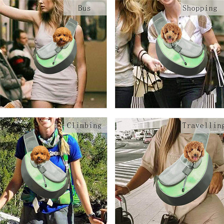 Traveling with Your Pet Made Easy