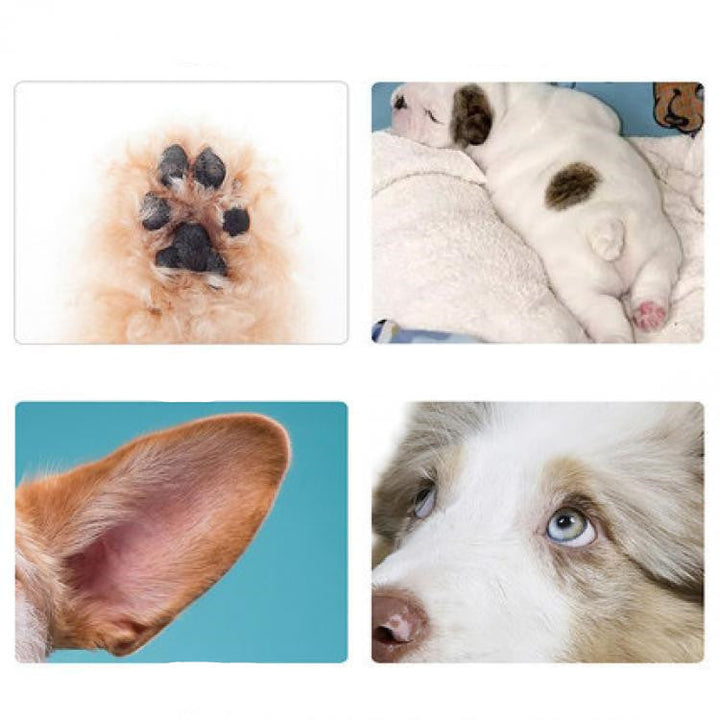 Grooming Made Easy: Discover the Rechargeable Pet Grooming Hair Trimmer