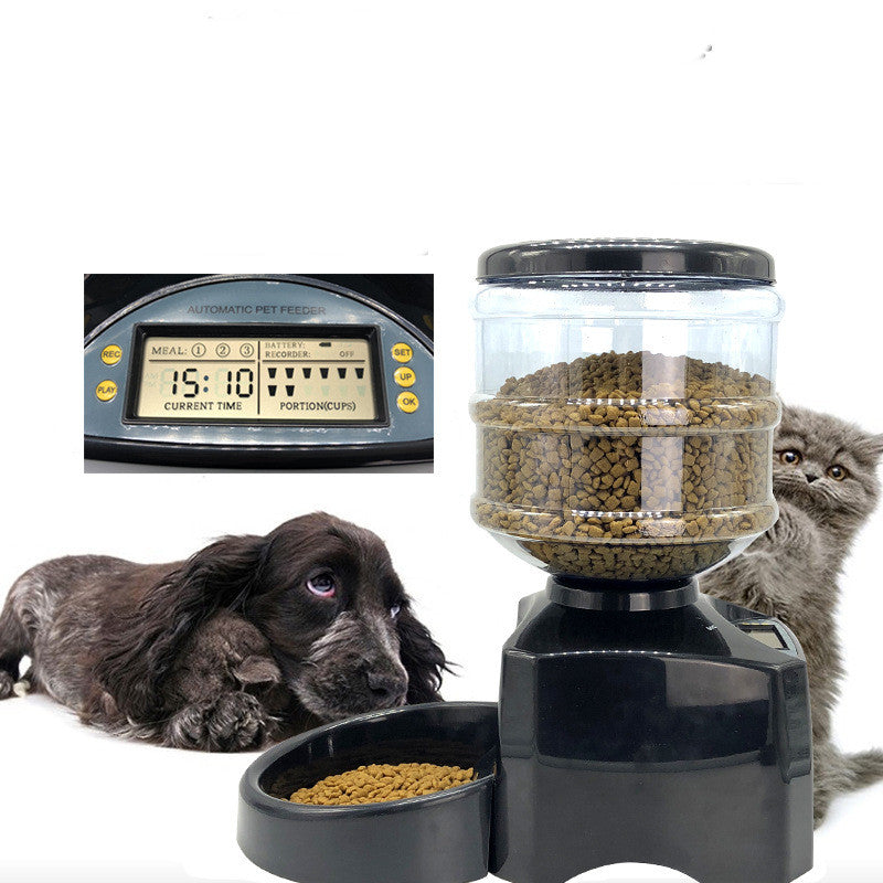 Revolutionize Your Pet Feeding Routine