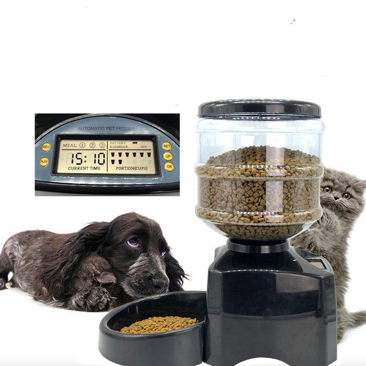 Revolutionize Your Pet Feeding Routine