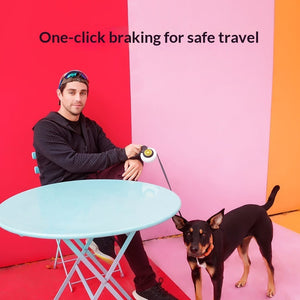 Why Your Dog Needs the Anti Pull Automatic Retractable Leash