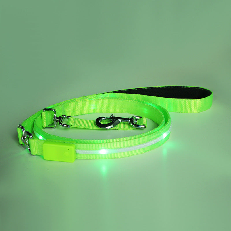 Illuminate Your Walks with the Creative LED USB Charging Luminous Pet Leash