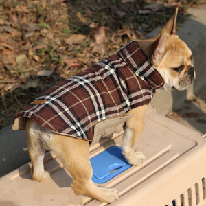 Why Your Dog Deserves the Best: The Pet Clothes Medium Dog Cotton Vest