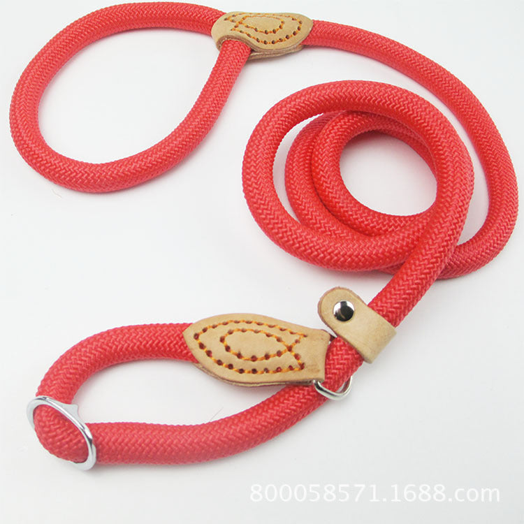 Hand Holding Rope Out Dog Leash