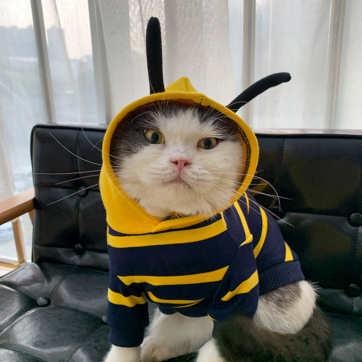 Winter Warm Clothes Cute Plush Coat Hoodies