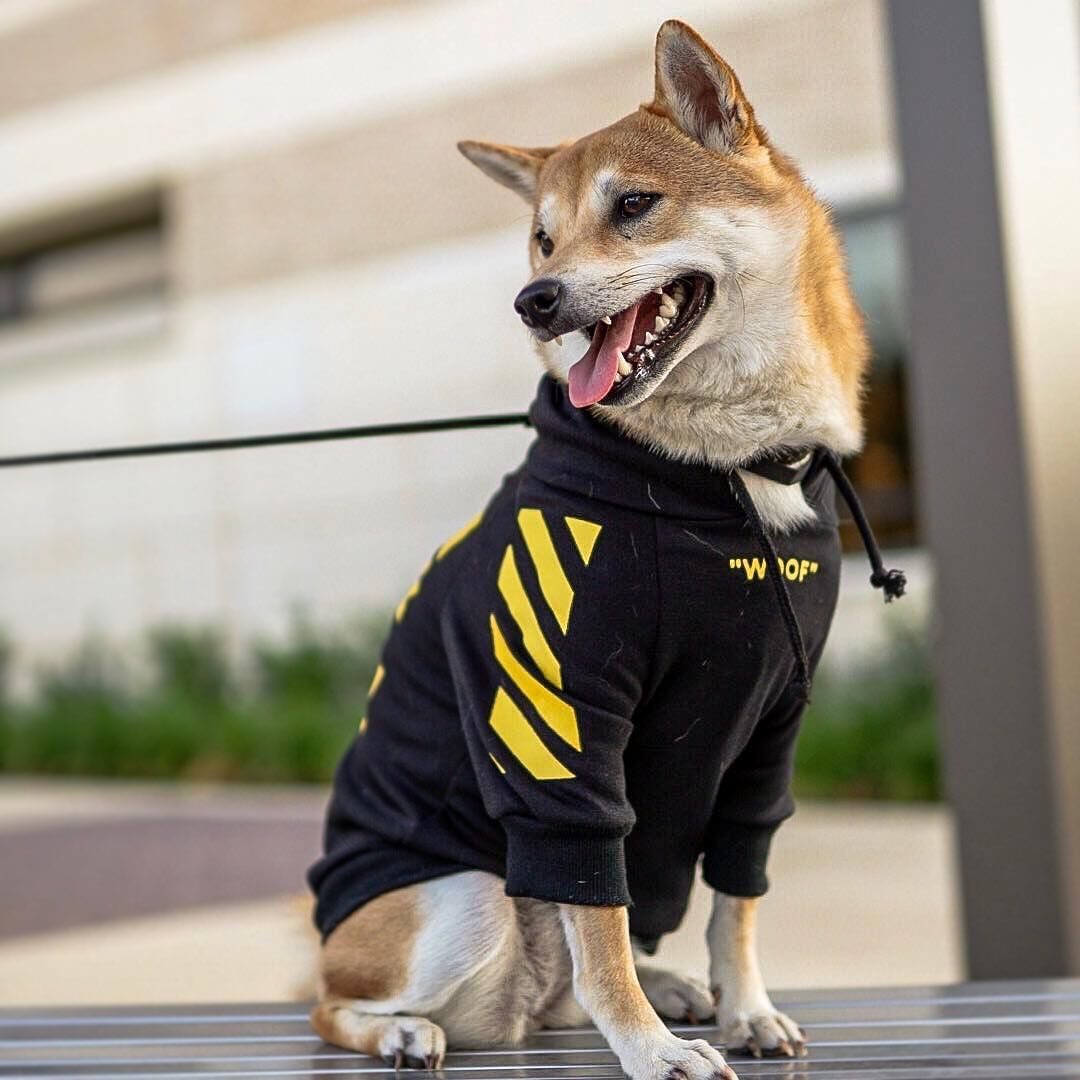 three-stripe dog sweater spoof autumn and winter