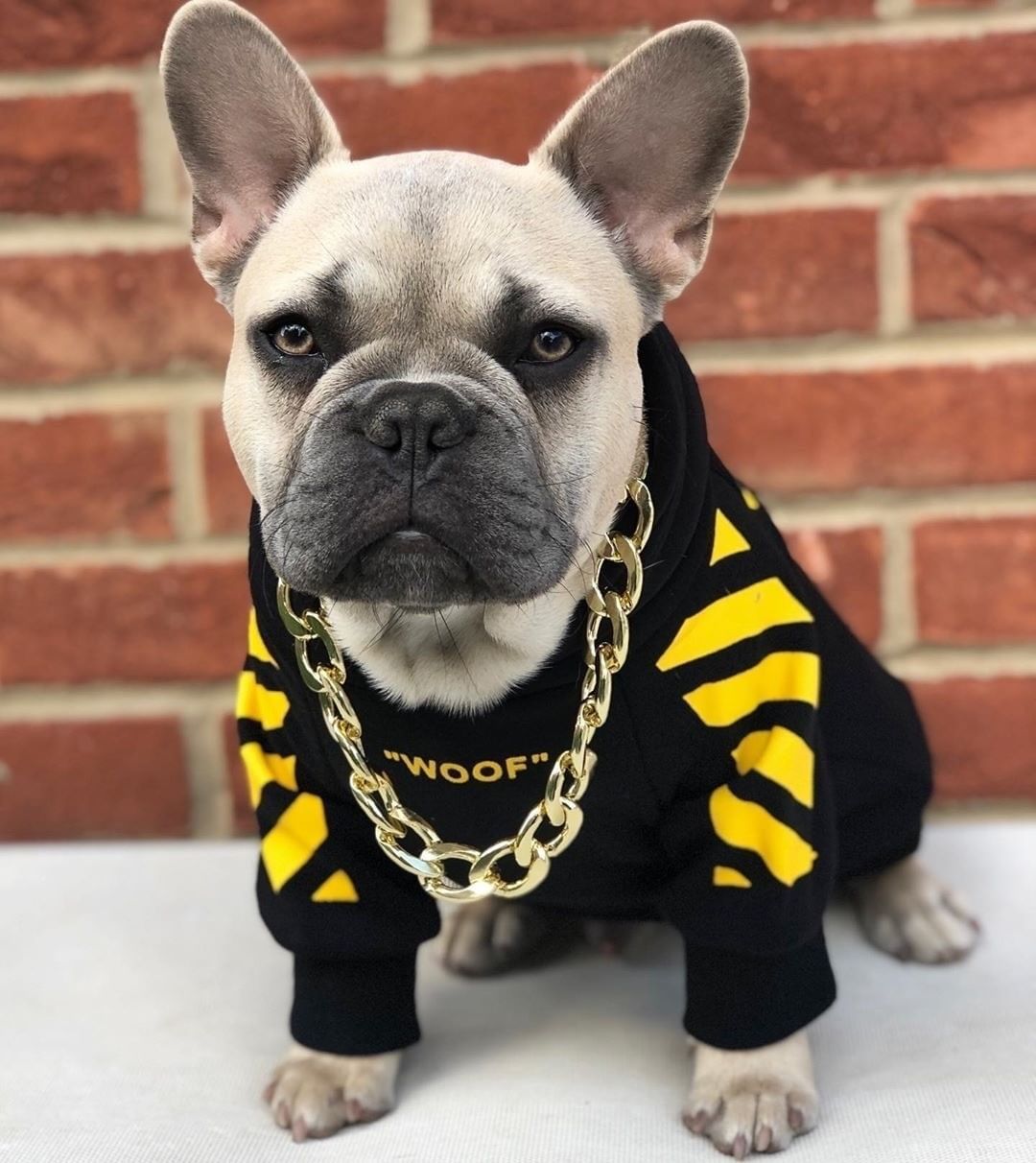three-stripe dog sweater spoof autumn and winter