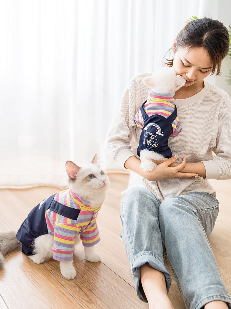 Cat Clothes Bib Autumn And Winter