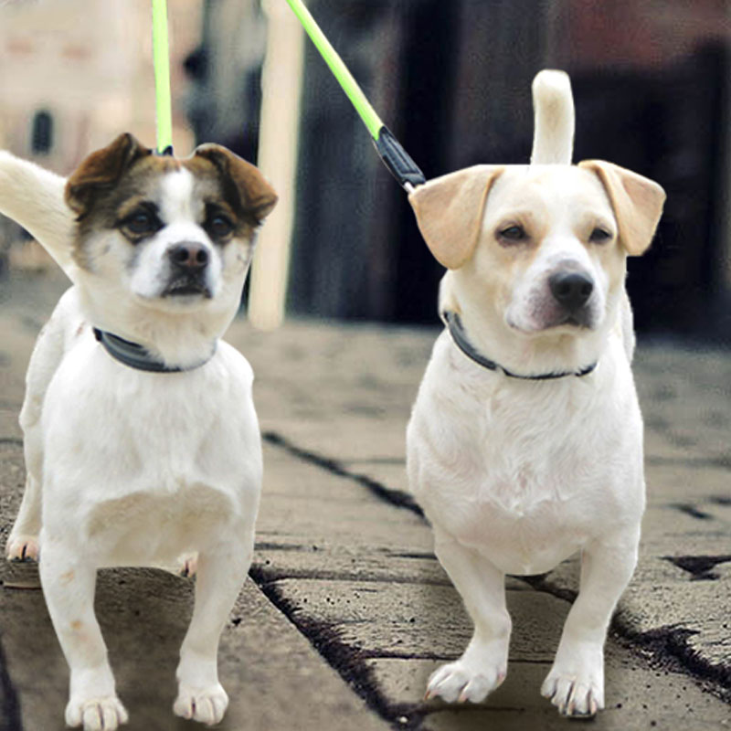 Double-Headed One-To-Two Nylon Dog Leash