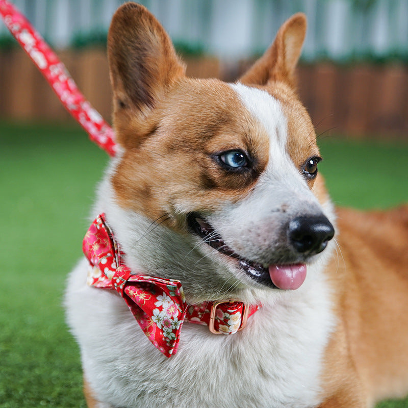 Female Dog Pen And Dog Leash Set