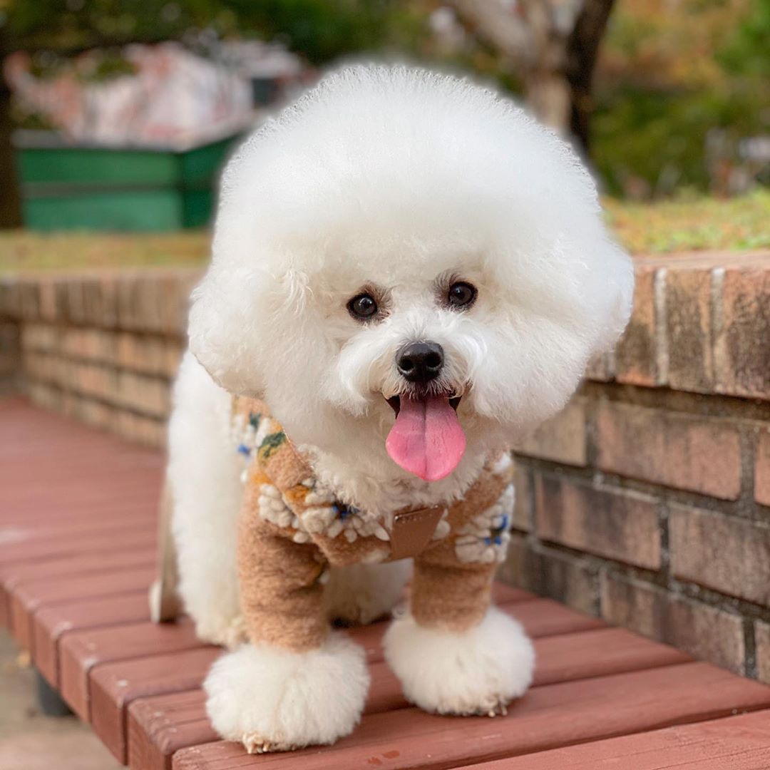 Warm Lamb Woolen Flower Vest Jacket
