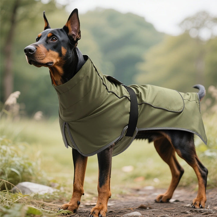 Dog Shell Jacket Waterproof And Rainproof