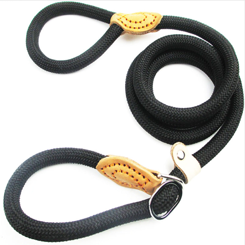 Hand Holding Rope Out Dog Leash