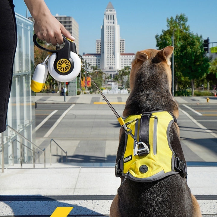 Dog Anti Pull Automatic Retractable Leash