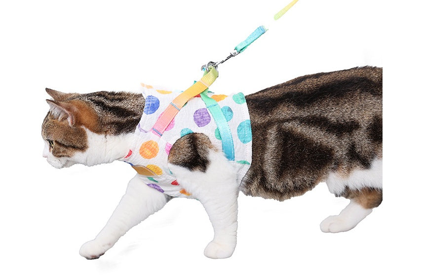 Pet Small Or Medium Chested Leash