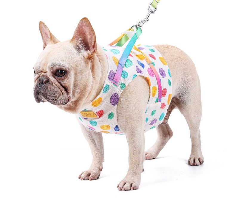 Pet Small Or Medium Chested Leash