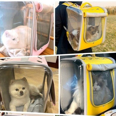 Pet bag cat go out portable backpack