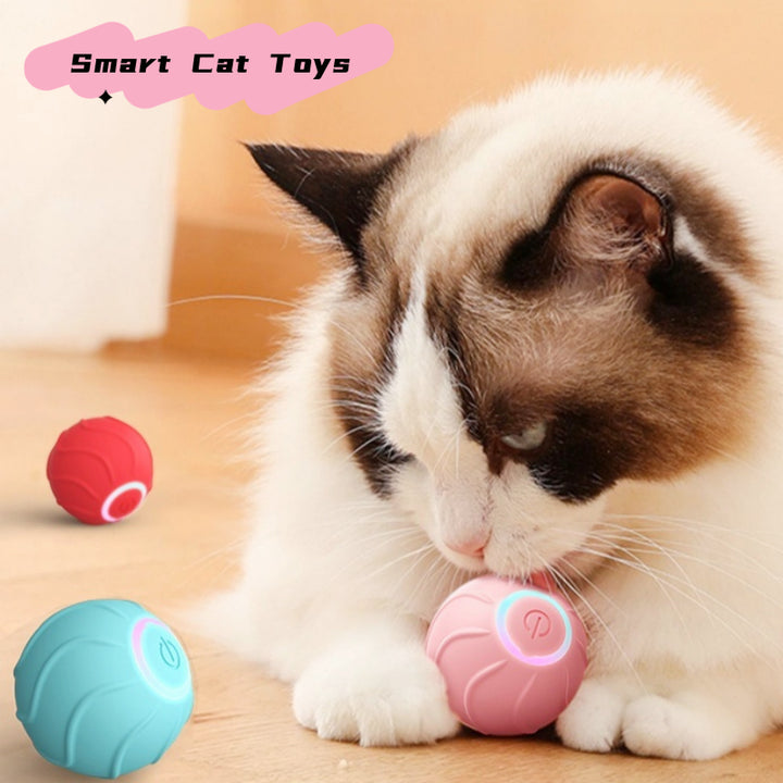 Smart Cat Toys Rolling Ball Pet Cat Toys