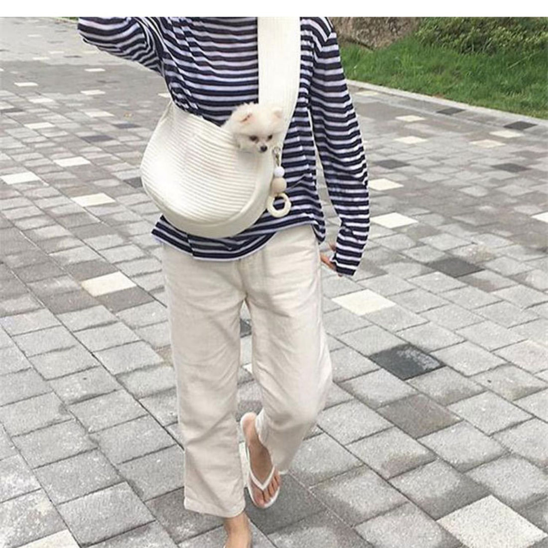 Portable Pet Cat Dog Backpack Canvas