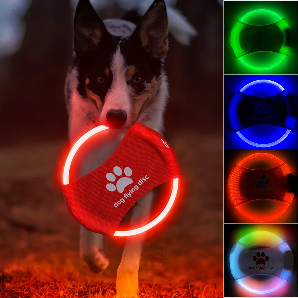 Dog Flying Discs Light Glowing LED Luminous