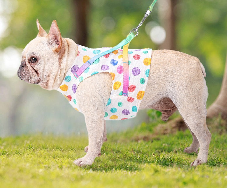 Pet Small Or Medium Chested Leash