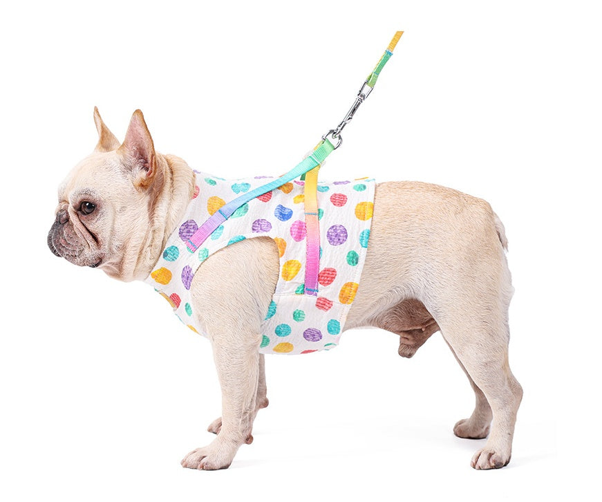 Pet Small Or Medium Chested Leash