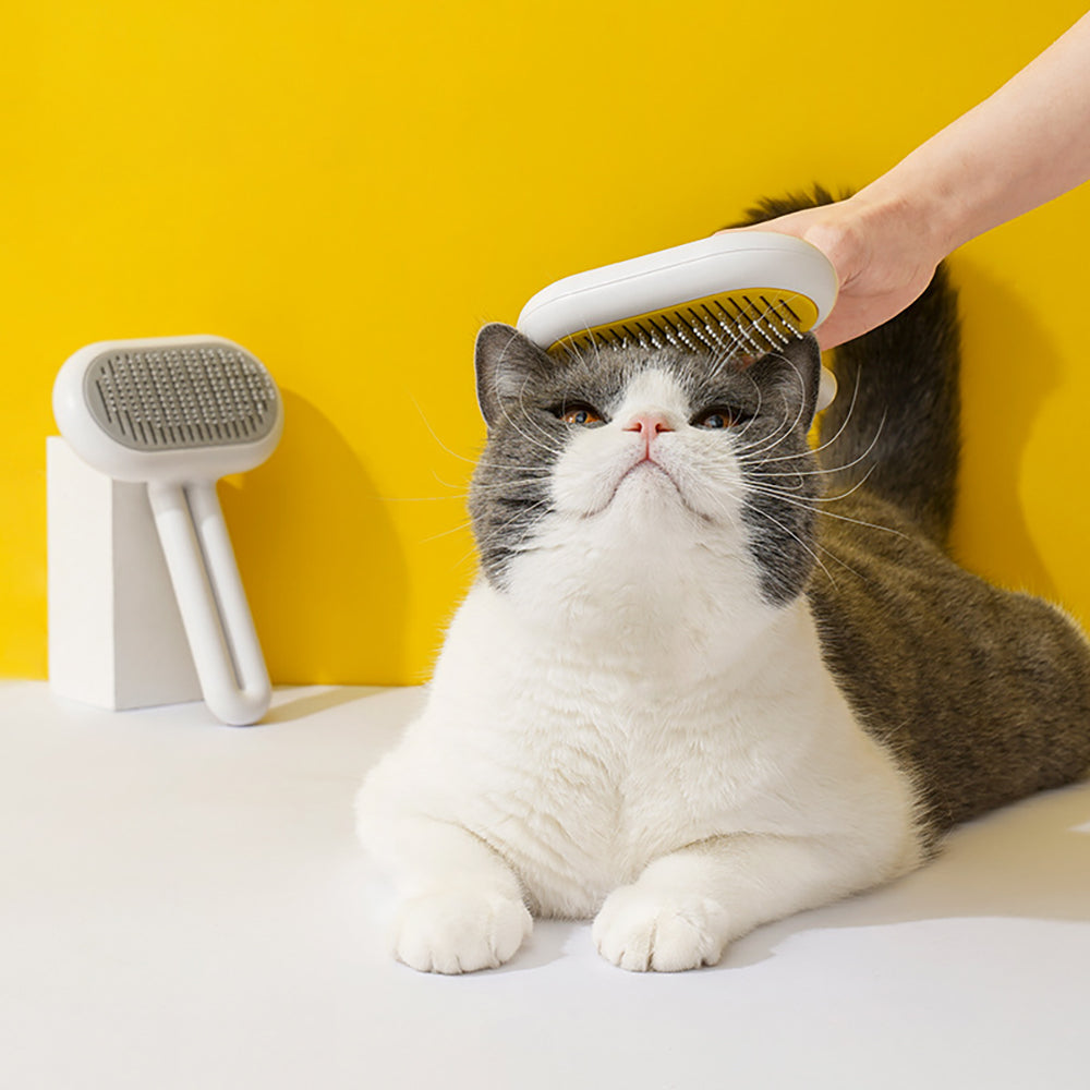 Cat Brush,Dog Brush, Pet Hair Cleaner Brush
