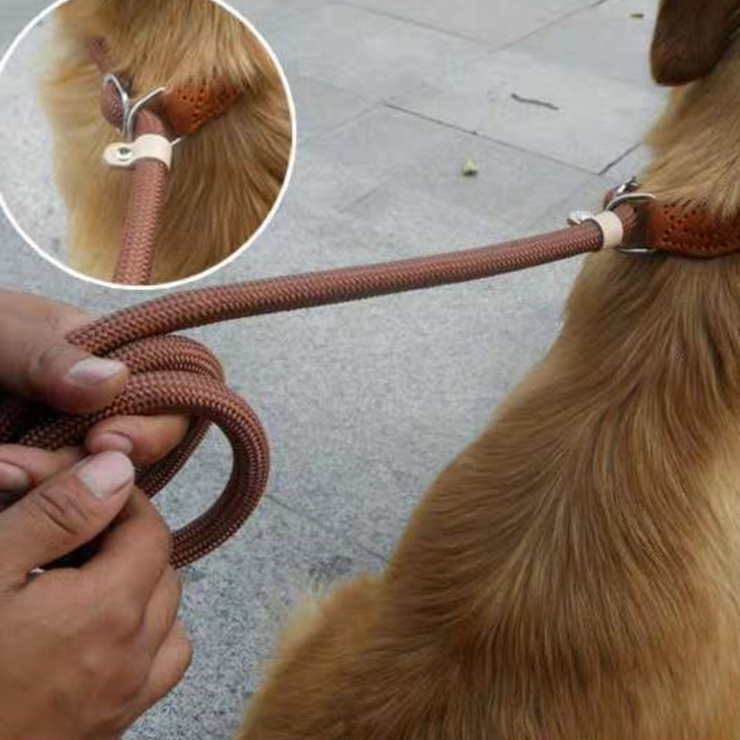 Hand Holding Rope Out Dog Leash