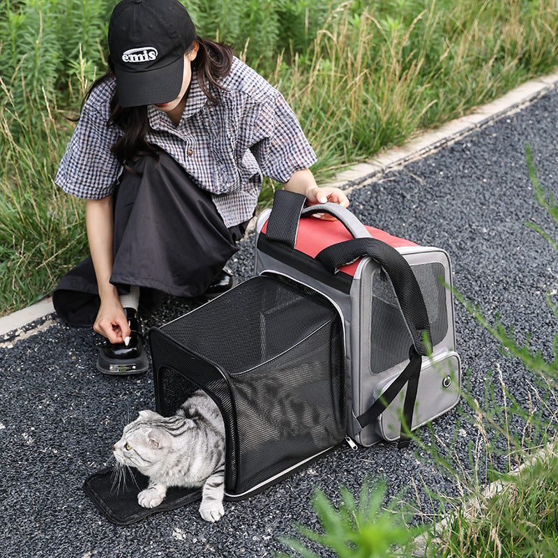 Pet Backpack Expandable Large Capacity