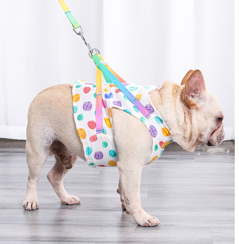 Pet Small Or Medium Chested Leash