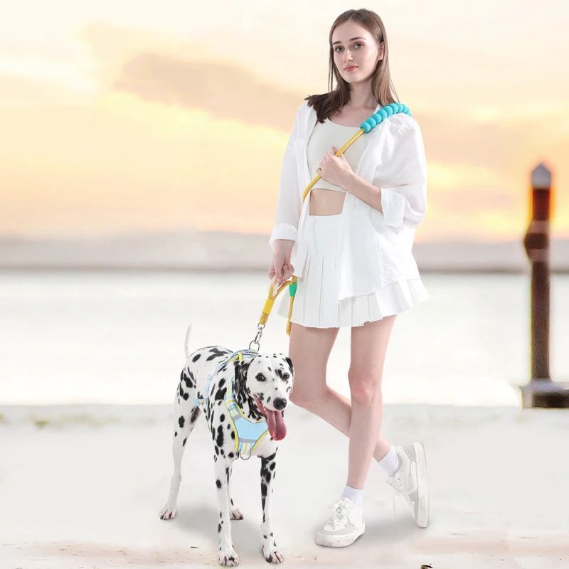 Leashes With A Comfortable Foam Handle