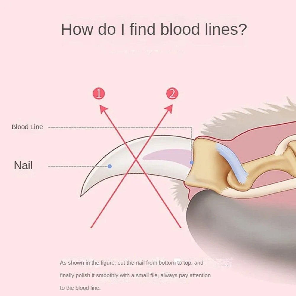 Professional Pet Nail Clipper Sharp