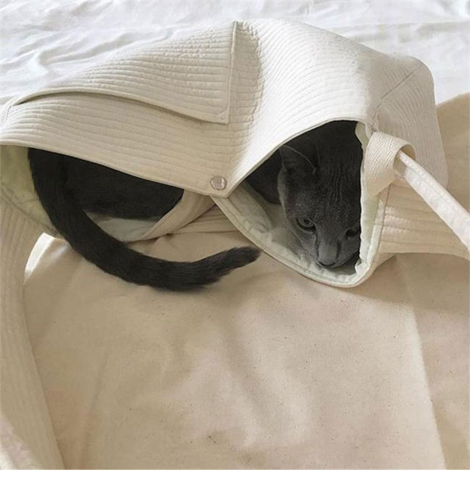 Portable Pet Cat Dog Backpack Canvas