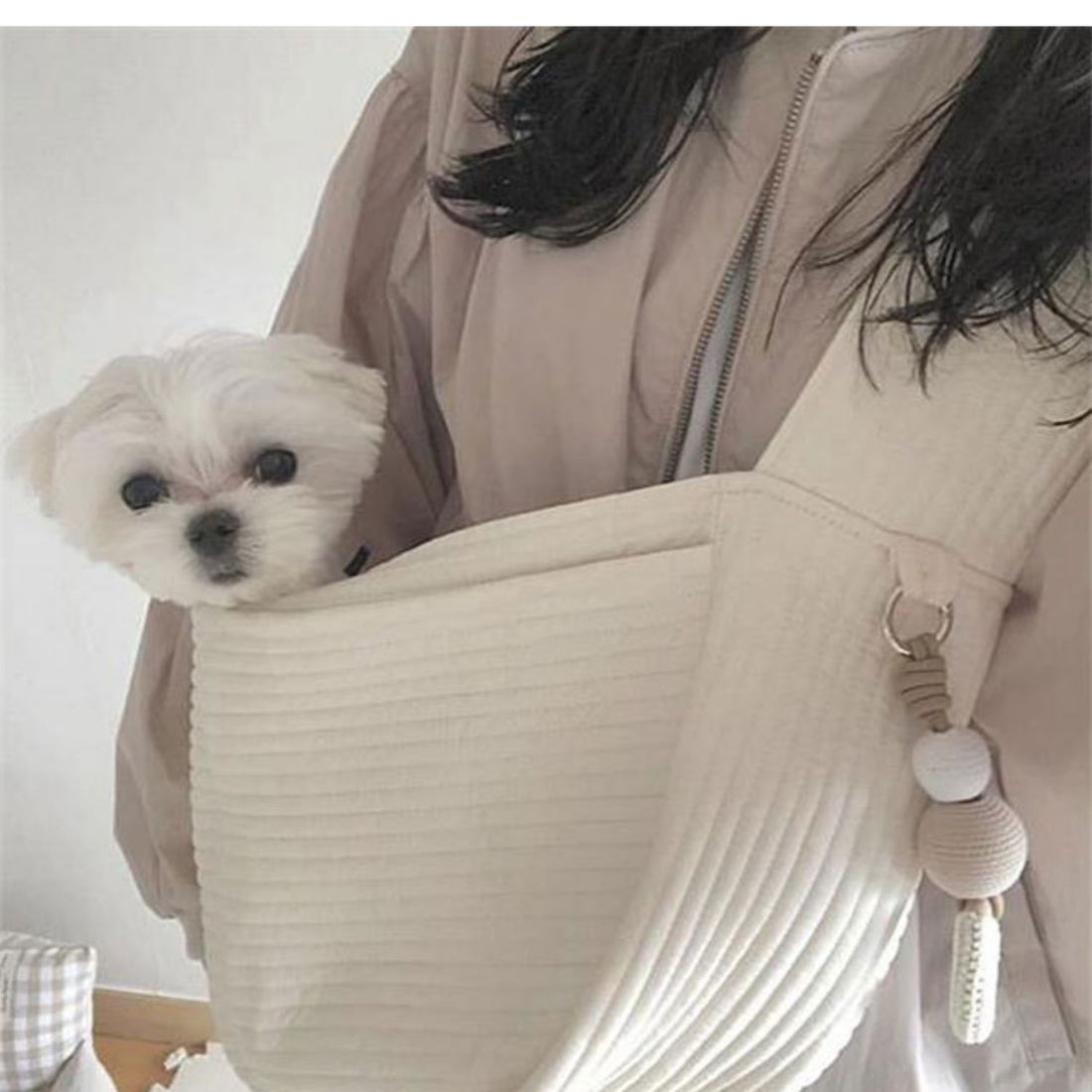 Portable Pet Cat Dog Backpack Canvas