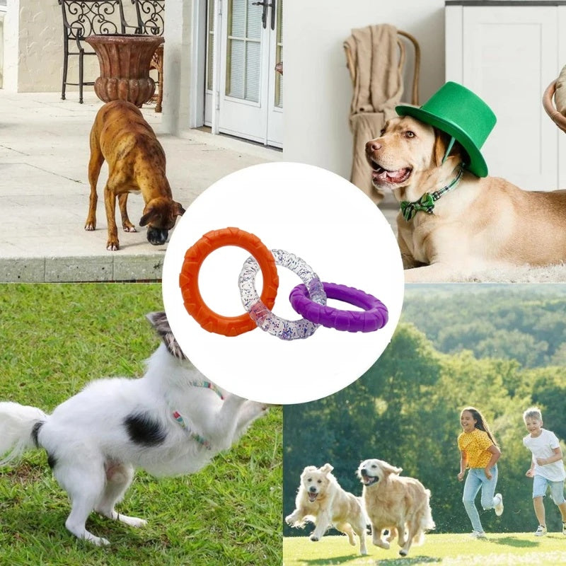 Floating Water Dog Toys Pet Flying Disk