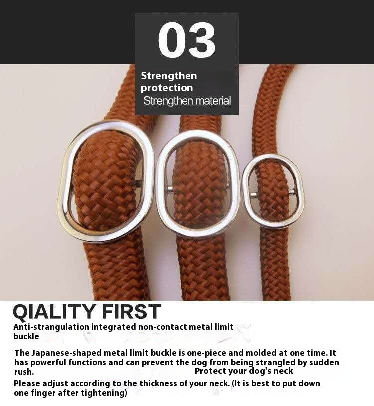 Hand Holding Rope Out Dog Leash