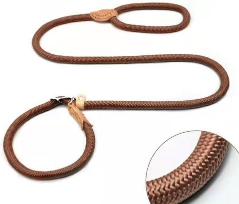 Hand Holding Rope Out Dog Leash
